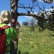 Izmjene na Istarskom planinarskom putu